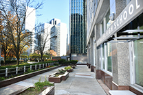 Learn about our mentored internships at City High